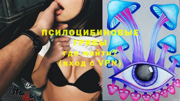 эйфоретик Арсеньев