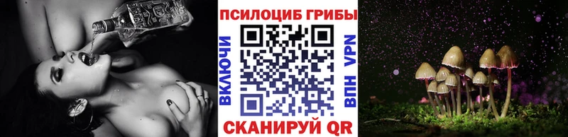 Псилоцибиновые грибы Psilocybe  Обнинск 